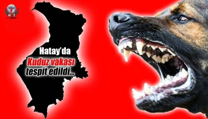 Sokak köpeğiyle boğuşarak telef olan sahipli köpekte kuduz görüldü