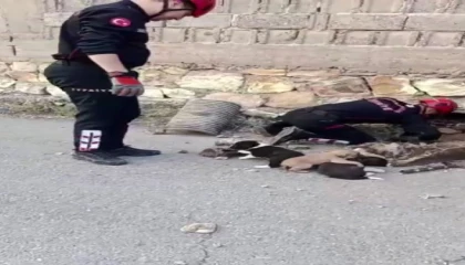 Su borusundan 7 yavru köpek çıktı