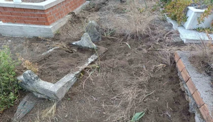 Yaban domuzları mezarlara zarar verdi, mahalleli tel örgü istedi