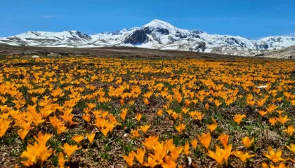 Yüksek rakımlı Geyik Dağları hayran bırakıyor