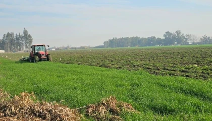 41 hektarlık ormanı tarım alanına dönüştürmeye çalıştılar, zamanında müdahale engel oldu