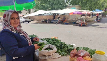 5 çocuk annesi, asma yaprağı satarak aile ekonomisine destek oluyor