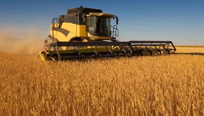 Adana ve Mersinde 2025 yılı buğday biçim ücretleri belirlendi