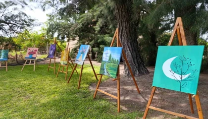 Adanada 13 yaşındaki ikizler sergi açtı