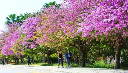 Akdeniz Üniversitesi Çevre Hizmet Ödülleri açıklandı