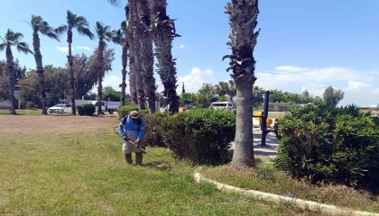 Akdenizde park ve bahçelere yaz bakımı