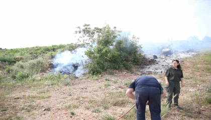 Alanyada makilik alanda yangın