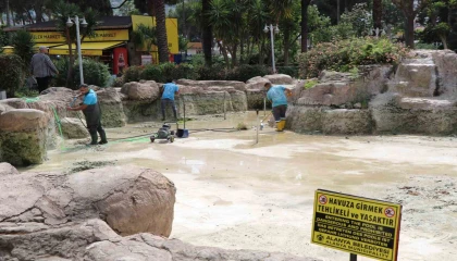 Alanyada süs havuzları yaz sezonuna hazırlanıyor