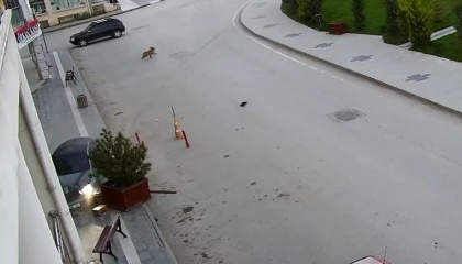 Alkollü sürücü önce kaldırıma sonra yolun karşısındaki iş yerinin saksılarına çarptı