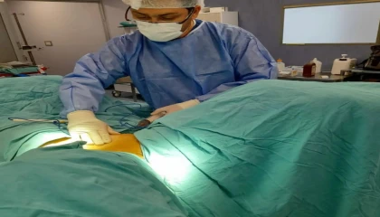 Anne karnındaki sıvı karaciğeri koruyor