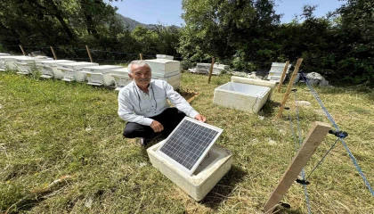 Antalyada arı kovanlarına dadanan ayılara elektrik telli önlem