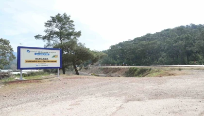 Antalyada narenciye balı için coğrafi işaret tescil çalışması