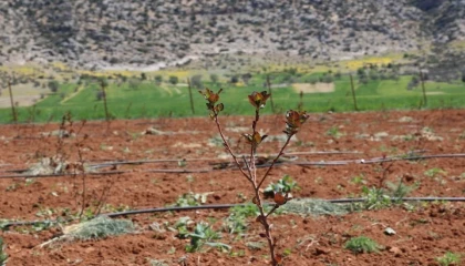 Antalyada tarımsal sulama projeleriyle tersine göç hızlandı