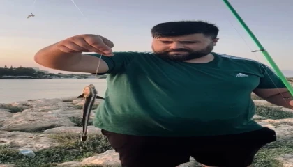 Antalyada vantuzlu ‘remora balığı şaşkınlığı