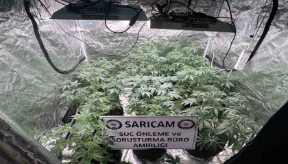 Apartman dairesine uyuşturucu serası kurmuşlar: 3 gözaltı