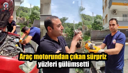 Araç motorundan çıkan sürpriz yüzleri gülümsetti