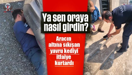 Aracın altına sıkışan yavru kediyi itfaiye kurtardı