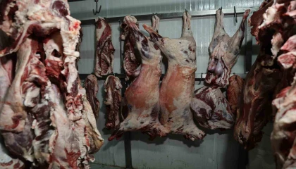 At ve eşek eti haberleri Adanalıları rahatsız etti