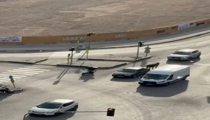 Atı otomobile bağlayarak götüren şahsa bin 986 TL ceza