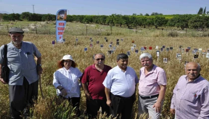 Başaklar kitap açtı