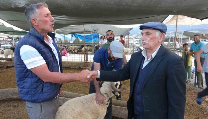 Bayram yaklaştı, kurban pazarında kıran kırana pazarlık başladı