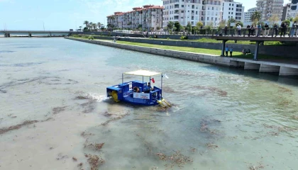 Boğaçayında yeni canlı türlerine yakın takip