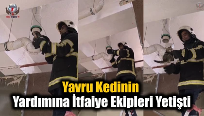 Boru içinde mahsur kalan yavru kedinin yardımına itfaiye ekipleri yetişti