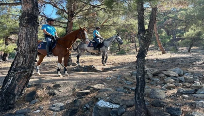 Burdurda 1 Haziran - 1 Kasım tarihleri arasında ormanlık alanlara girişler yasaklandı