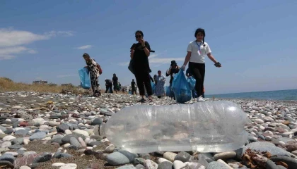 Caretta carettaların yuvalama alanları temizlendi