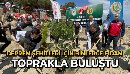 Deprem şehitleri için binlerce fidan toprakla buluştu