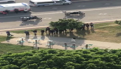 Eski sevgilisiyle görüşemeyince kendini vurdu