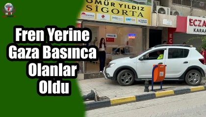 Fren yerine gaza basınca kaldırıma çıktı