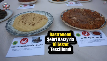 Gastronomi şehri Hatayda damak çatlatan 10 lezzet tescillendi