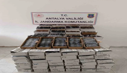 Gazipaşada araçta 3 bin kaçak gözlük ele geçirildi