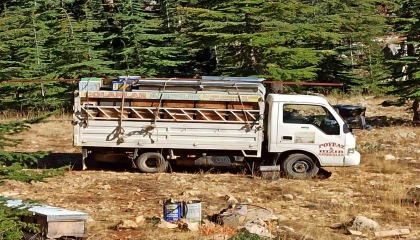 Gazipaşada arıcıların yayla mesaisi başlıyor