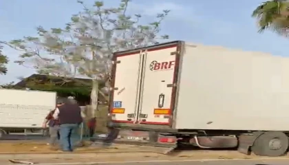 Gazipaşada sebze yüklü tır refüjdeki palmiye ağacına çarptı: 1 yaralı