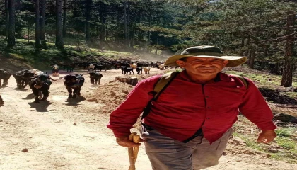 Gazipaşada Yörüklerin 5 aylık yayla mesaisi başladı