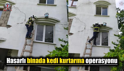 Hasarlı binada kedi kurtarma operasyonu