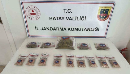 Hatayda 450 gümrük kaçağı kuru sıkı tabanca ve uyuşturucu ele geçirildi