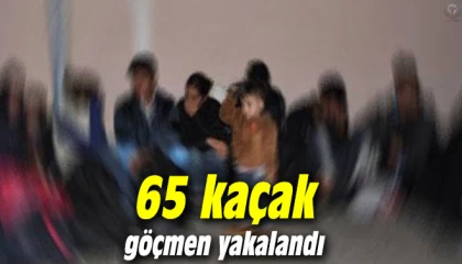 Hatayda 65 kaçak göçmen yakalandı