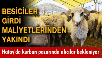 Hatay'da Kurban Bayramı Yoğunluğu