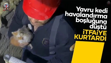 Havalandırma boşluğuna düşen kedi duvar kırılarak kurtarıldı