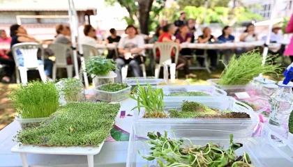 Heykeller yeşerdi, minyatür bahçeler ortaya çıktı