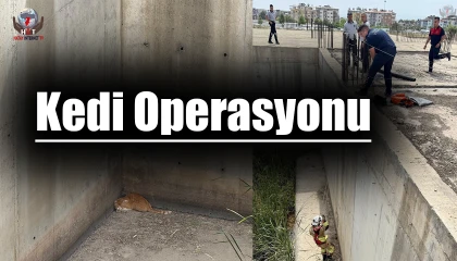 İnşaat temelinde mahsur kalan kediyi itfaiye kurtardı