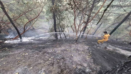 Kahramanmaraştaki orman yangını kontrol altına alındı: 5,5 hektar zarar gördü