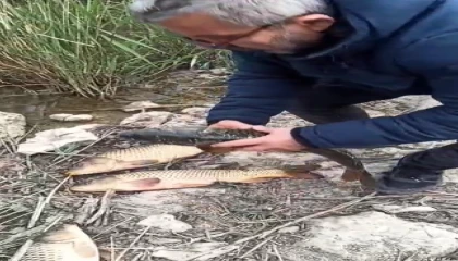 Kovada Gölünde kaçak avcılara 176 bin TL ceza uygulandı, ekipmanlara el konuldu