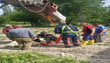 Mersinde 10 metrelik su kuyusuna düşen danayı itfaiye kurtardı