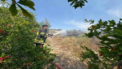 Mersinde çalılık yangını bahçeye sıçramadan söndürüldü
