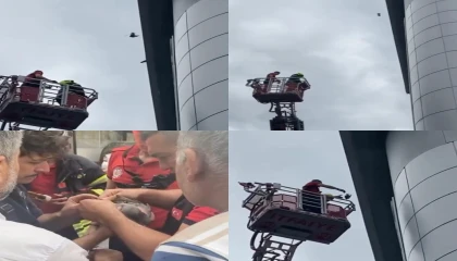 Mersinde çatıda mahsur kalan güvercini itfaiye kurtardı