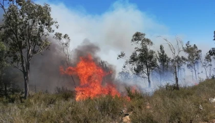 Mersinde çıkan yangınlarda 14 dönüm alan zarar gördü